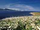 Bonaventure Island and Percé Rock National Park