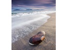Plage et archipel de Sept-Iles