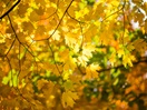 Escale toute en couleur !