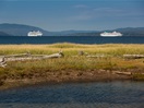 The Norwegian Dawn and The MV Artania in Gaspé Bay