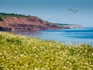 Gaspésie landscape