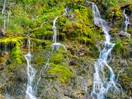 Forillon National Park