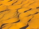 290 kilomètres de plages au sable couleur de miel