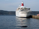 Petit rorqual devant le Black Watch