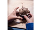 Ice cream Maple Delights