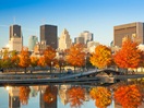 Fall Foliage on the Old Port