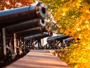 Canons en automne