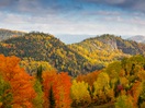 Paysage d'automne