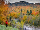 Le parc national du Fjord-du-Saguenay en automne
