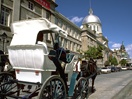 Horse-drawn carriage in Old Montréal