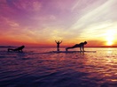 Yoga et Paddle Board au Surfshack
