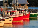 Bateaux de pêches au port de Havre-Saint-Pierre