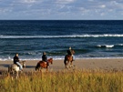 Horseback riding on the beach 