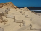 Dunes de sable