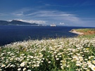 Parc national de l'île-Bonaventure-et-du-rocher-Percé