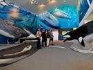 Mingan Island Cetacean Study 