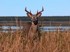 Anticosti Island national park/Sépaq Anticosti 
