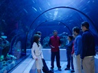 Aquarium du Québec