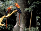 Biodôme de Montréal 
