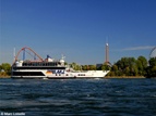 Croisières à bord du Cavalier Maxim 