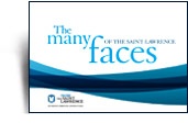 The many faces of