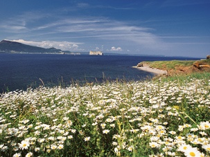 Parc national de l'&icirc;le-Bonaventure-et-du-Rocher-Perc&eacute; (cr&eacute;dit : JP Huard, Parc national de l'&icirc;le-Bonaventure-et-du-Rocher-Perc&eacute;)