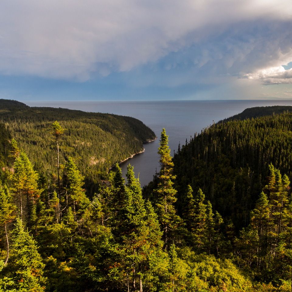 Saint Pancrace Lookout_BC