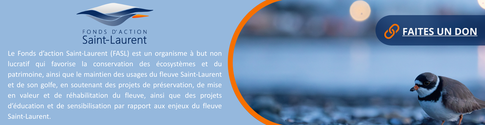 Bannière FASL FR