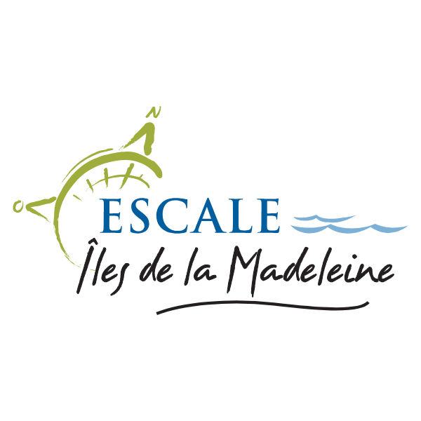 logo escale IDM